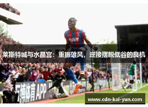 莱斯特城与水晶宫:重振雄风,迎接摆脱低谷的良机 莱斯特城与水晶宫:重振雄风,迎接摆脱低谷的良机